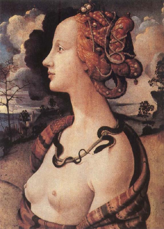 Piero di Cosimo Portrait of Simonetta vespucci oil painting image